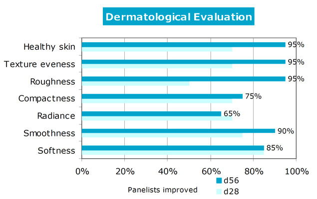 NETO evaluation