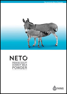 neto brochure